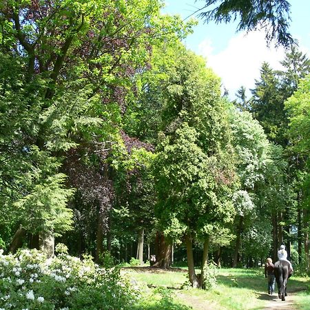 Parkhotel Smržovka エクステリア 写真