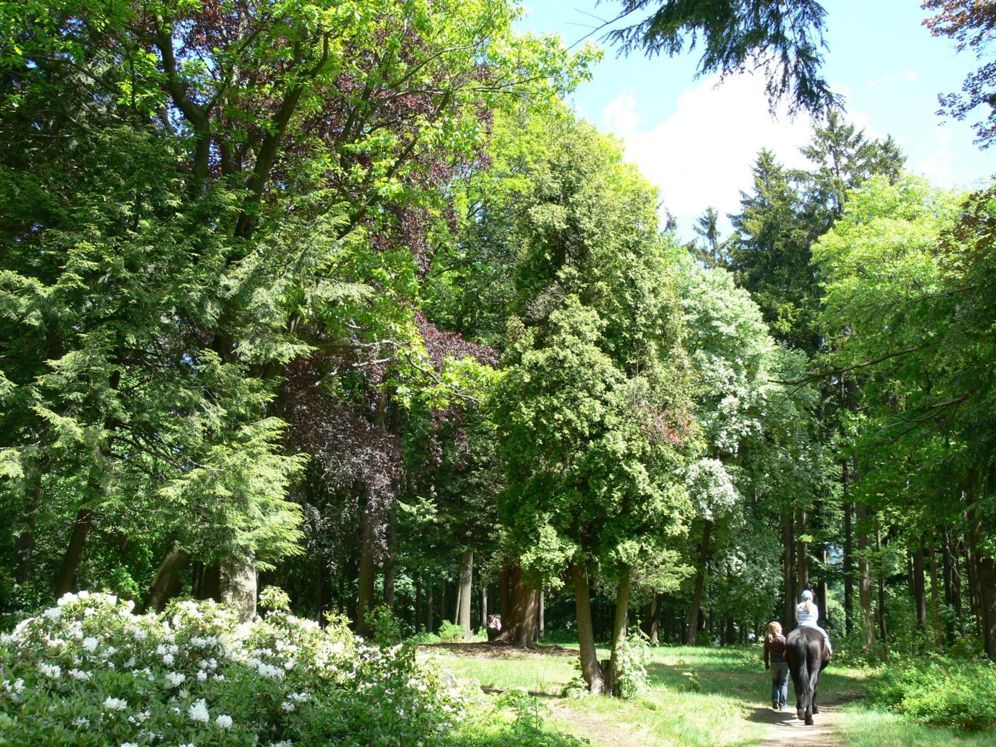 Parkhotel Smržovka エクステリア 写真
